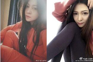 国产主播福利在线,揭秘直播界的丰厚待遇与机遇